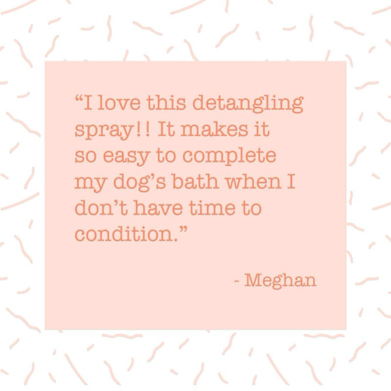 dr sniff detangling spray makes it easy to apply and you can skip conditioner if your pup really hates bath time 
