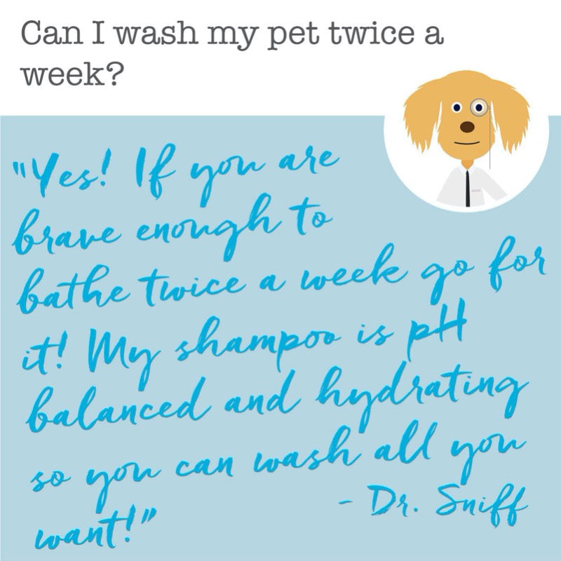 wash your pet with dr sniff shampoo as often as every day because it is hypoallergenic and pH balanced