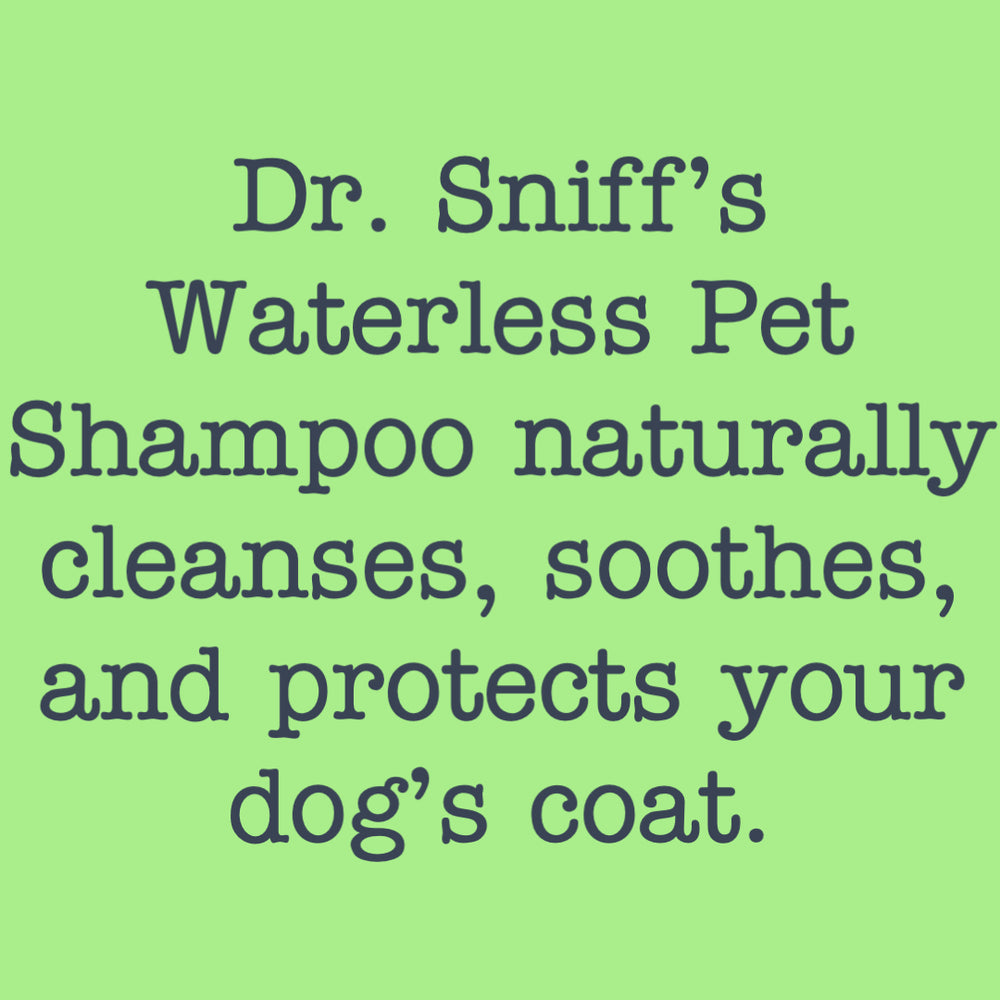 
            
                Load image into Gallery viewer, Waterless Dog Shampoo
            
        